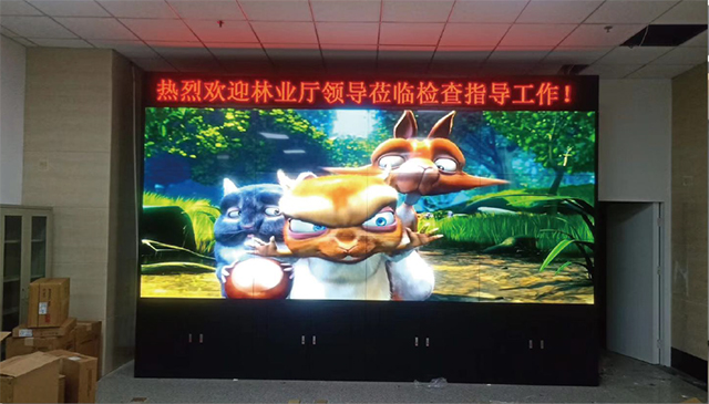 zjsxyjpjp25091901